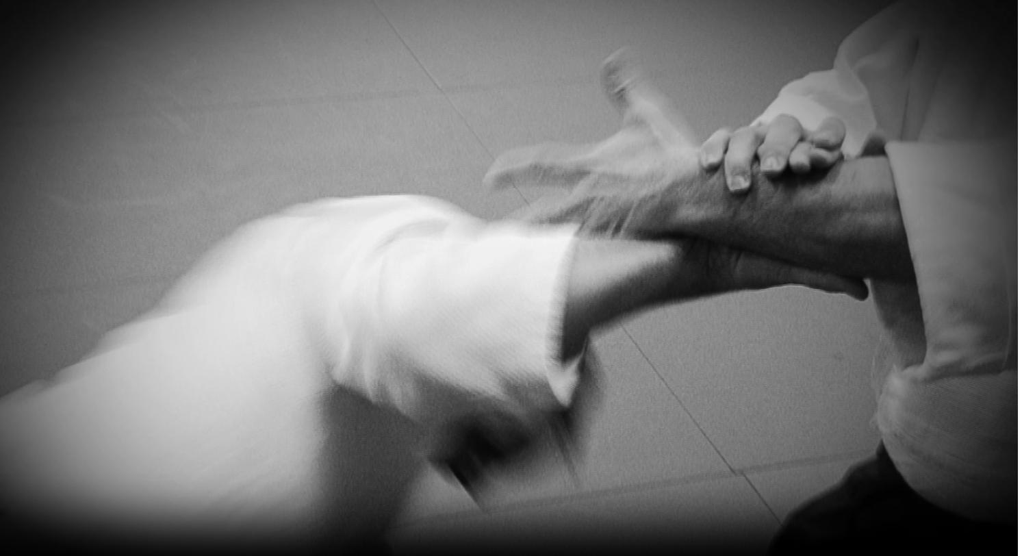 Entraînement de Daïto-ryu Aïkibudo au Seishinkan